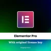 Elementor Pro Plugin With License Key